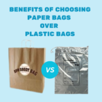Paper Bags Over Plastic Bags